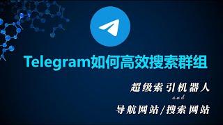 Telegram群组频道搜索怎么用？2个方法教你高效搜索到需要的群组频道