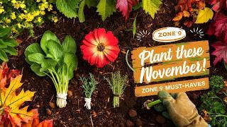 What to Plant in November for a Thriving Zone 9 Garden