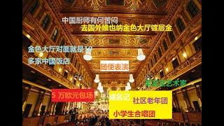 实在混不下去到维也纳金色大厅。中国人的自费秀场。出国镀金，围绕国外的丰富的资源，大家都是如何利用的呢，让我们听听（金色大厅的声音）为什么连在对面投资饭店的厨师，都造成心理阴影了呢？？？！！