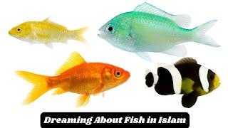 The Significance and Interpretation of Dreaming About Fish in Islam