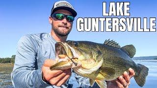 Lake Guntersville Fishing Report! (November)