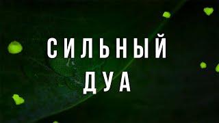 ДУА УСПЕХ - СЛУШАЙ ЭТО ДУА КАЖДОЕ УТРО - САМОЕ ПОЛЕЗНОЕ ДУА - ДУА УСПЕХА ВО ВСЕМ | СИЛЬНЫЙ ДУА