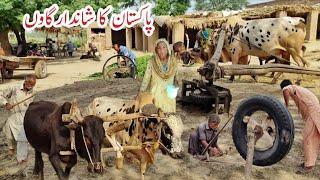 Old Amazing Cultural Pakistan Punjab Village | Pakistan Unseen Village Life | Javed Bhai