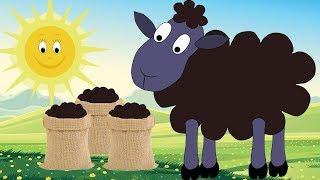 Baa Baa Black Sheep. Nursery Rhyme for babies and toddlers from Sing and Learn!