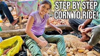 How Corn Turns Into Rice! Watch This Fascinating Filipina Life Journey From Start To Finish!