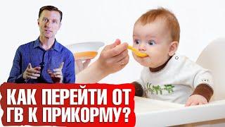 Первый прикорм ребенка: правильное введение прикорма