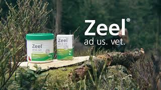 Zeel® ad us. vet.