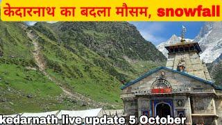 kedarnath yatra live update today || kedarnath live darshan || kedarnath yatra latest news ||