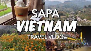 Vietnam Travel Vlog 2024 | 3D2N Sapa Itinerary - Fansipan,Cat Cat Village,Lao Cai,Ham Rong Mountain