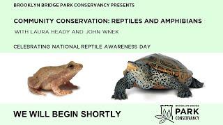 Community Conservation: Reptiles and Amphibians Webinar