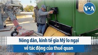 Nông dân, kinh tế gia Mỹ lo ngại về tác động của thuế quan | VOA Tiếng Việt