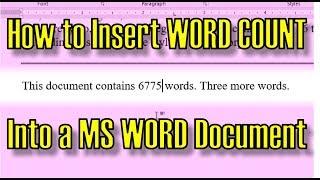 How to Insert WORD COUNT Into a MS Word Document