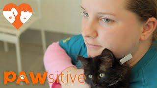 Young Woman With Autism Finds The Confidence to Speak Through Love of Black Cats | PAWsitive 