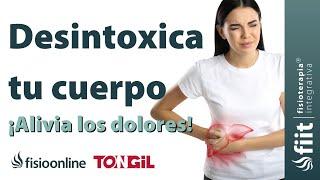 ️Cuida tu Hígado de Forma Natural  Consejos y Fitoterapia Efectivos 