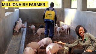 How To SUCCEED In PIG Farming Business As A Beginner! 2024 (DETAILED)