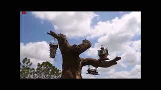 $ Bill Plays! INDIANA JONES - SPLASH MOUNTAIN GREATEST ADVENTURES! Guzheng and japanese bamboo flute