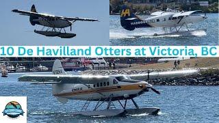 Crosswind Landings & Effortless Takeoffs: Classic De Havilland Otters Dominate Victoria BC, Canada