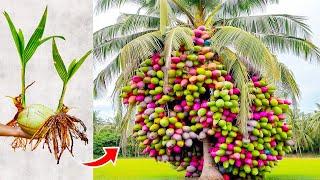 20 Most Unique Fruits You've Never Heard Of