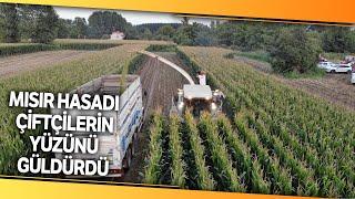 Edirne’de Silajlık Mısır Hasadı Başladı