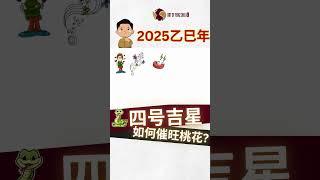 2025乙巳蛇年-九宫飞星 Part 1-四号吉星- 催旺桃花【风水】【永伟】【Art of Fengshui】