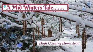 Winter on the Homestead: Snowy Farm and Winter Verse