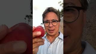 How Peaches Can Starve Cancer | Dr. William Li