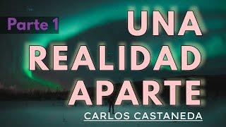 UNA REALIDAD APARTE | C. Castaneda | Parte 1 | Audiolibro completo | Español | Voz humana