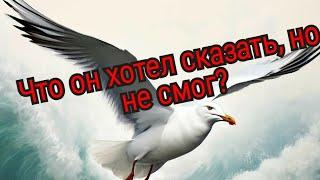 Что он хотел сказать Вам?