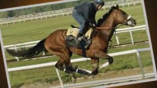 Ruffian & Barbaro