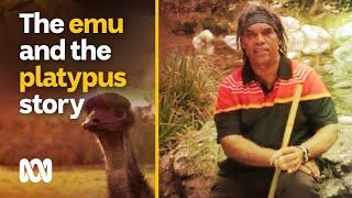 The story of the emu and the platypus | NAIDOC Week | ABC Australia