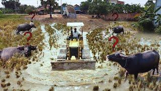 Incredible start new PROJECT! 8-T dump trucks & D31 dozer start massive new PROJECT of landfill