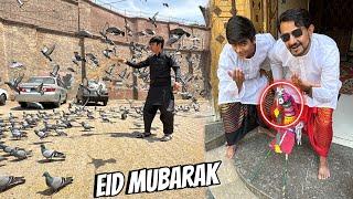 Eid Ky Din Jungly Kabootar Ko Khana Khila Dea 