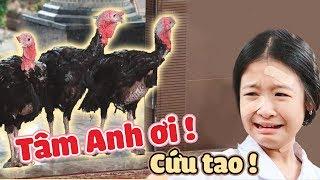 Lam Chi, Tâm Anh, BiMax SỢ PHÁT KHÓC khi có "SINH VẬT LẠ" đột nhập | Gia Đình Là Số 1