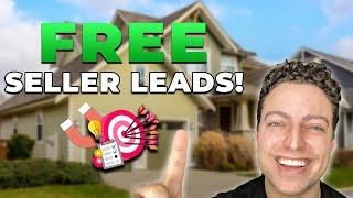 Unlimited Free Seller Leads And How To Convert Them!