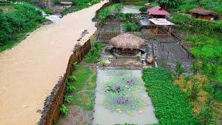 The Vegetable Garden Was Destroyed After Typhoon YAGI And Rain | Sang Vy Planting Trees, Green Farm