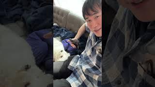 Kanocstar's dog is so cute 