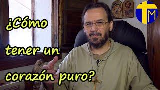 Evangelio de hoy 17 octubre 2024. Padre David de Jesús. ¿Cómo tener un corazón puro? (Lc 11,47-54)