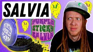 The Craziest Drug I've Ever Tried: Salvia