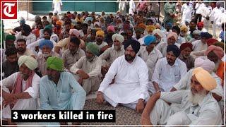 3 workers killed in fire at mattress factory in Bathinda