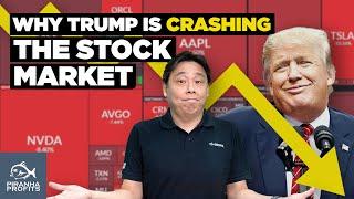 Why Trump is Crashing the Stock Market