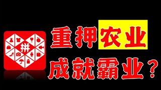 除了便宜，拼夕夕还靠什么逆袭？【极客队长】