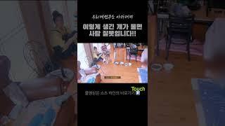 이런 개가 사람을 물면 사람 잘못입니다 #강아지교육 #바둑이 #발바리