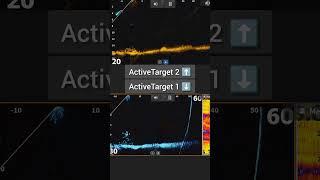 ActiveTarget 1 VS ActiveTarget 2 #shorts #lowrance #activetarget