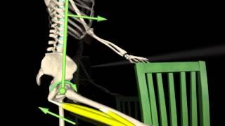 Hamstring Stretch | Updated 23-April-2014