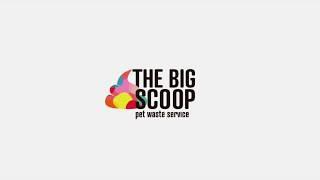 The Big Scoop SA