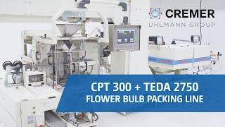 Cremer - Flower bulb Counting and packaging line