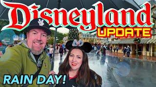 DISNEYLAND UPDATE! First RAIN of the Season! + Holiday Lights, Train Station COMPLETE! & NEW FOOD!