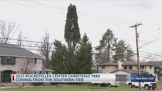 2023 Rockefeller Center Christmas Tree coming from Vestal, New York