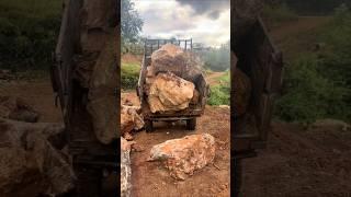 Farm vehicle unloading stones#shorts