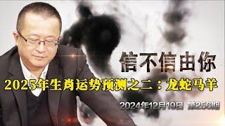 2025年生肖运势预测之二：龙蛇马羊 《信不信由你》2024年12月19日 第256期